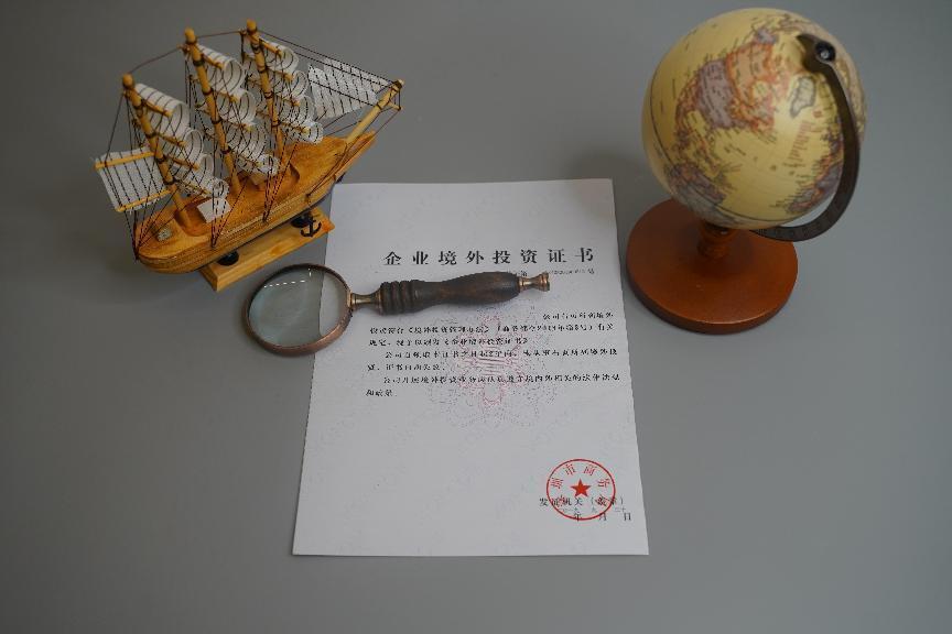 企業境外投資