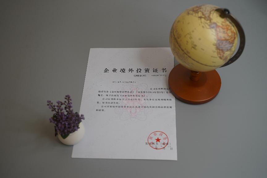 企業境外投資