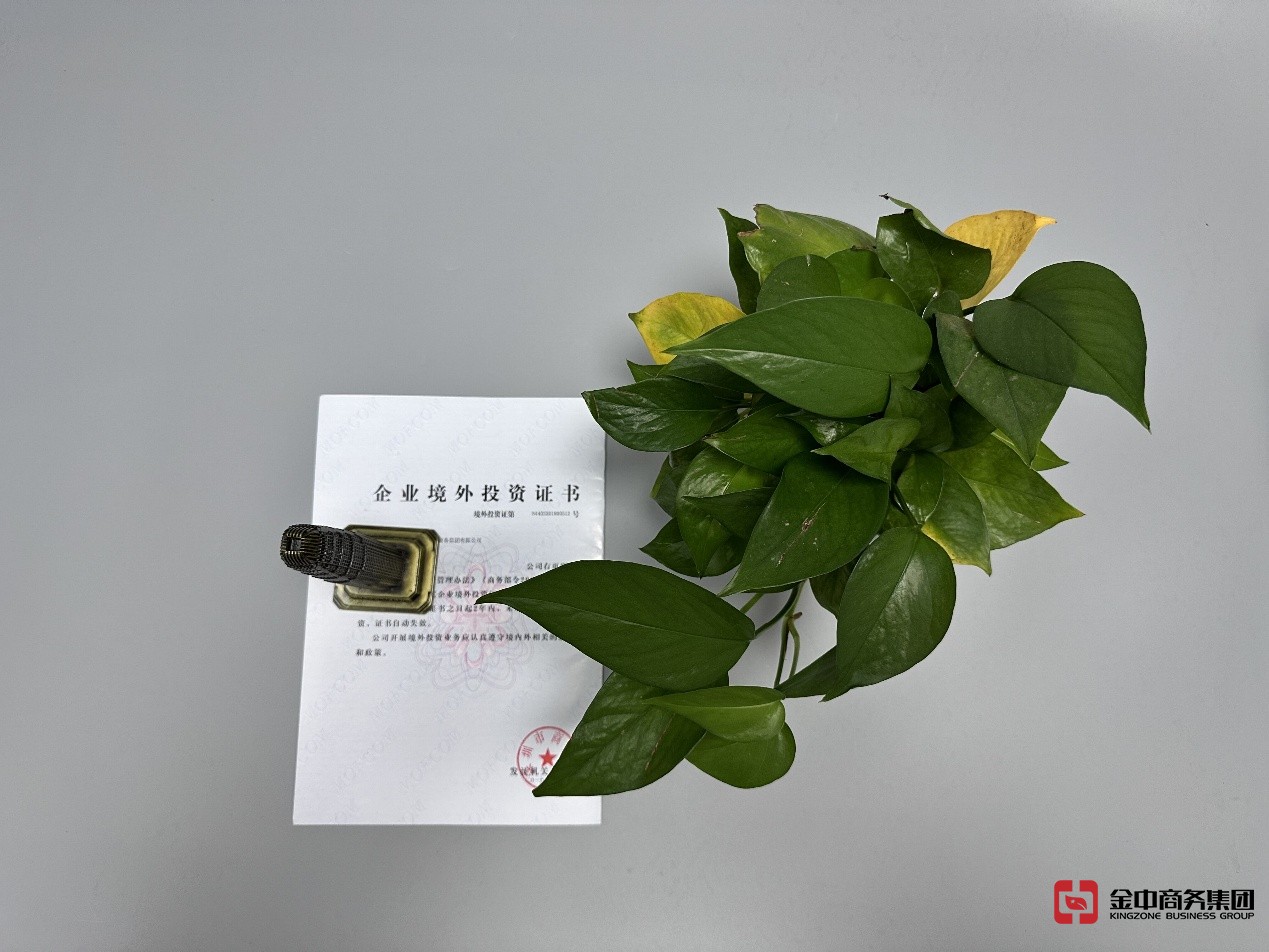 東南亞ODI備案